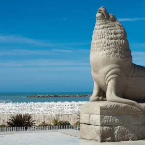 MAR DEL PLATA -
