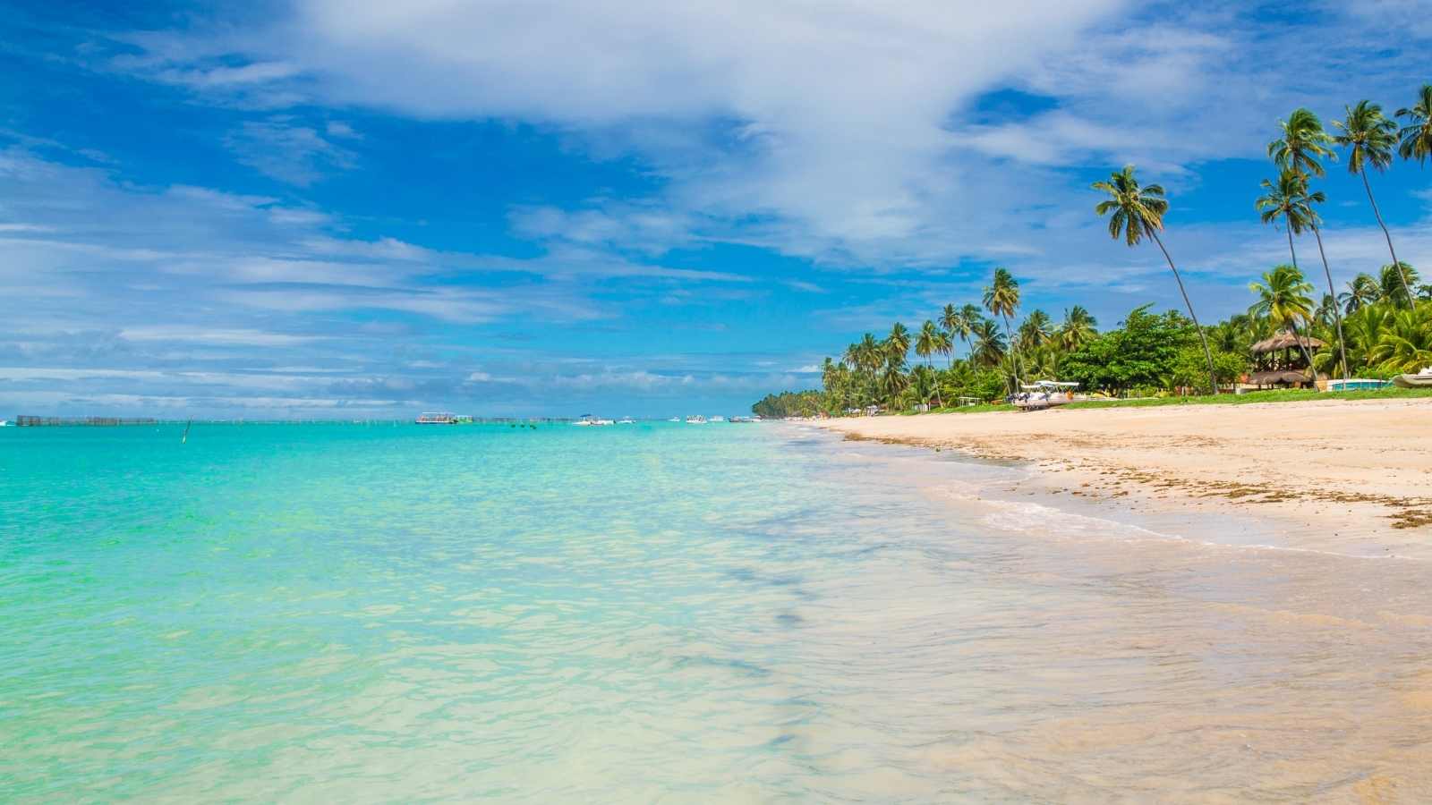 MACEIO MARAGOGGI - ENE/FEB - 2027 - Image 3