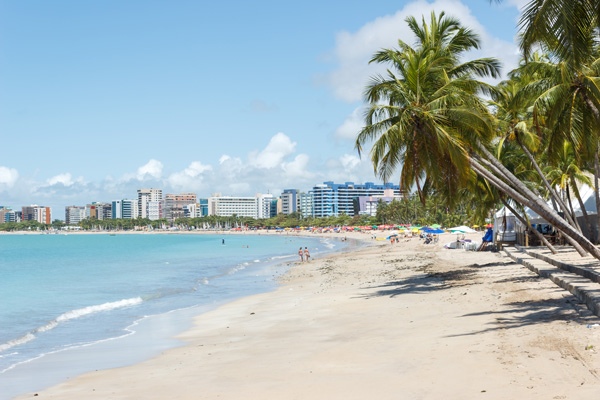 MACEIO MARAGOGGI - ENE/FEB - 2027 - Image 2